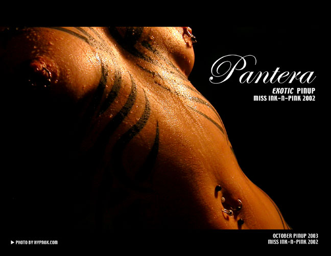 Pantera